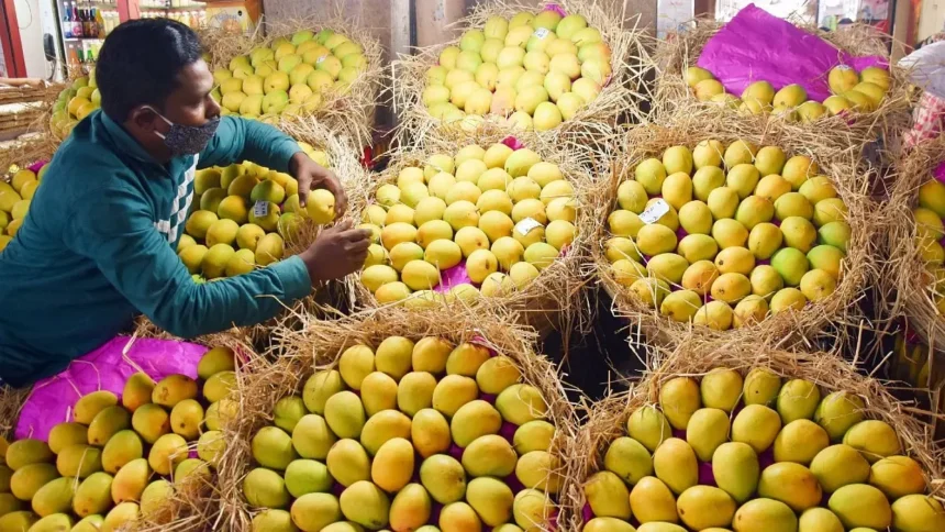 Chemically Ripened Mangoes