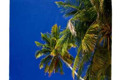 TropicalParadise-SUB2242_1200x1200