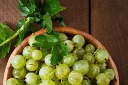 amla
