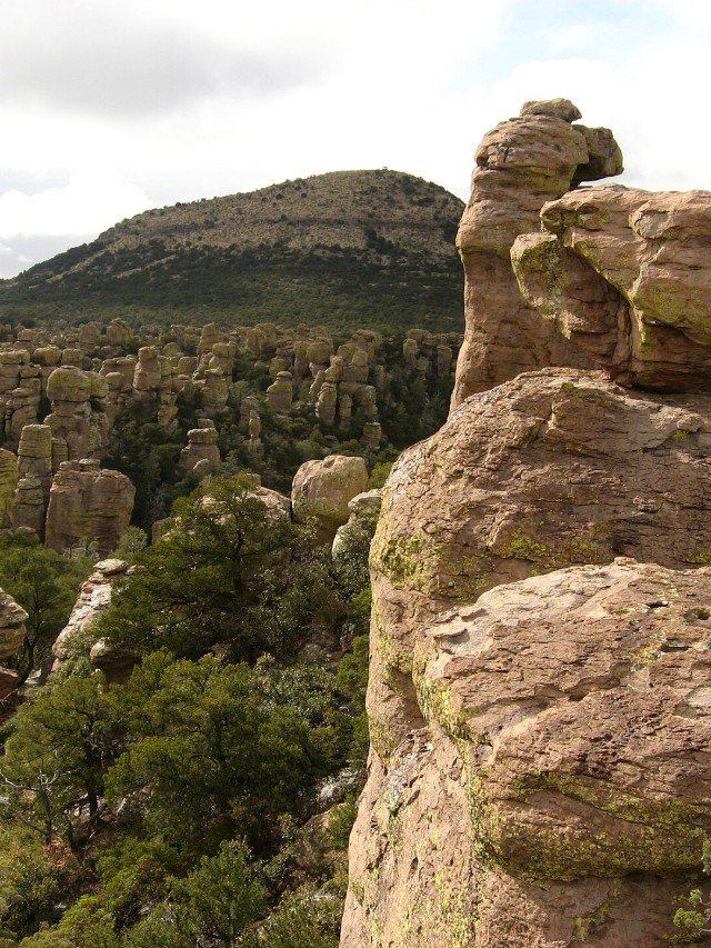 Chiricahua: a guide to America’s newest national park
