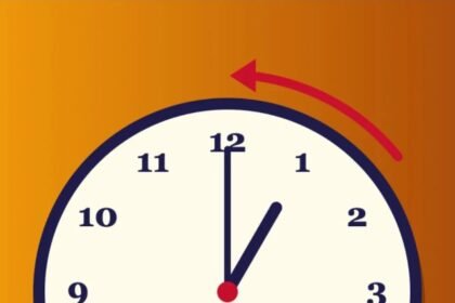 dst web story poster