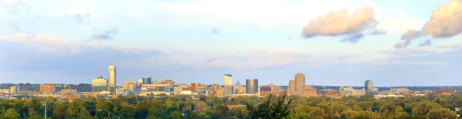 Grand Rapids, Michigan skyline, where the first Senate debate was held