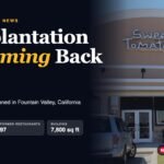Souplantation Is Coming Back: one restaurant planned in Fountain Valley, California, in 2027