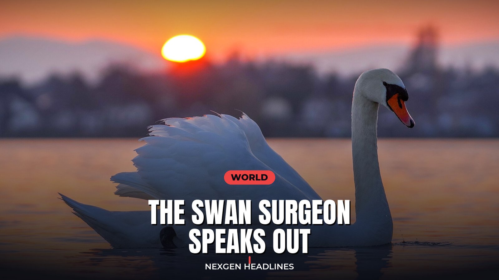 The swan surgeon speaks out - Nexgen Headlines